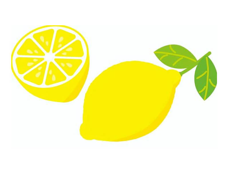 シンガーMAKINO CD　Lemon